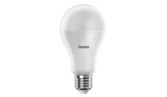 Светодиодная лампа  Camelion LED17-А65/845/Е27 000717 01